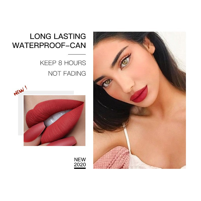 Matte Lip Gloss Dry rose Plum mauve Waterproof